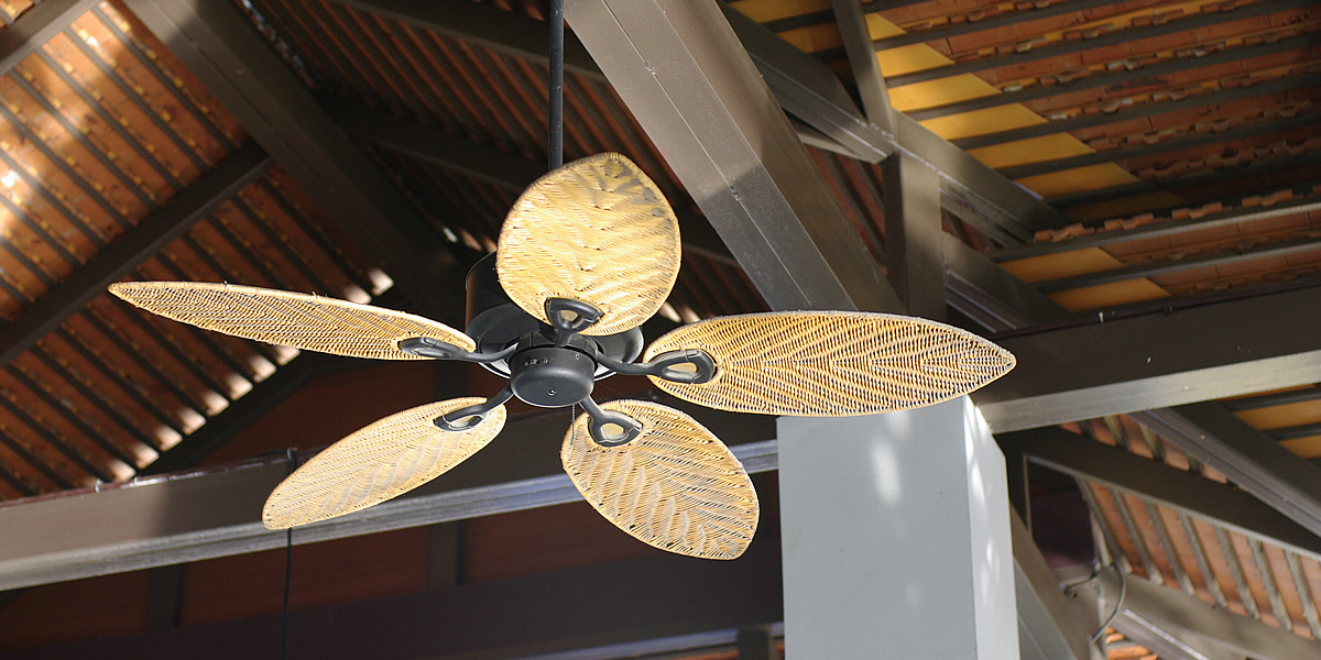 Ceiling Fans: An Easy & Effective Energy Saver